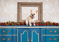 Reloved Home Designs, LLC - Photo 5 - Car repair in , Little Rock