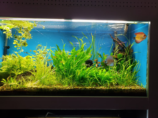 Pet Supply Store «Wet Spot Tropical Fish», reviews and photos, 4310 NE Hancock St, Portland, OR 97213, USA
