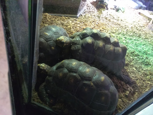 Pet Store «Lebanon Pet & Aquarium Center», reviews and photos, 196 S Main St, West Lebanon, NH 03784, USA