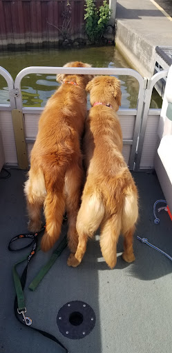 Yacht Club «Buckeye Lake Yacht Club», reviews and photos