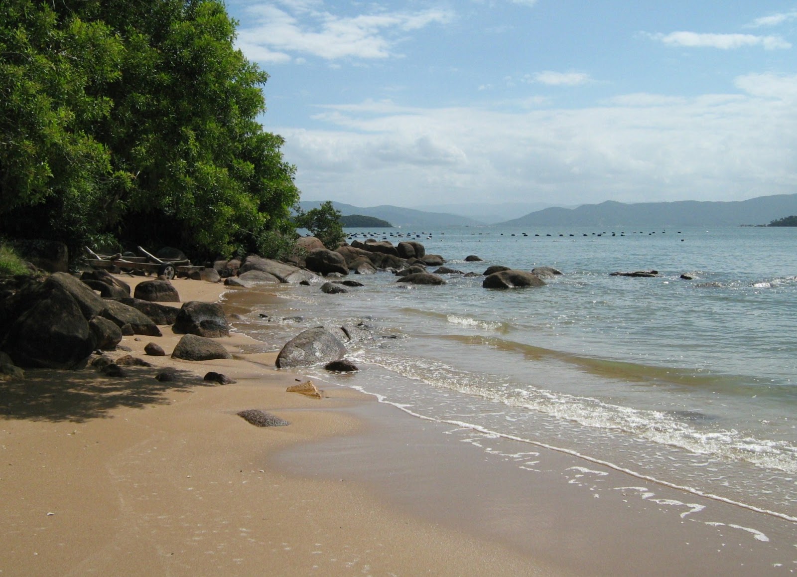Foto de Praia do Sambaqui com alto nível de limpeza