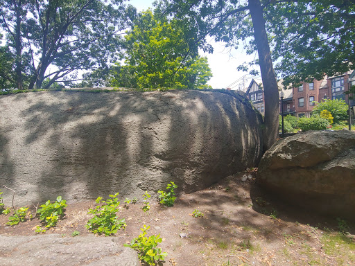 Park «Horatio Harris Park», reviews and photos, 85 Harold St, Boston, MA 02119, USA