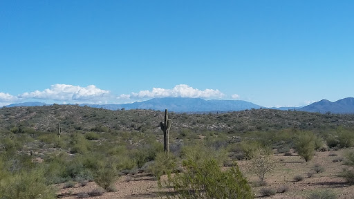 Performing Arts Theater «Fountain Hills Theater», reviews and photos, 11445 N Saguaro Blvd, Fountain Hills, AZ 85268, USA