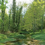 Photo n° 1 de l'avis de camille.e fait le 13/05/2021 à 16:34 pour Les Puits Tournants à Fréchencourt