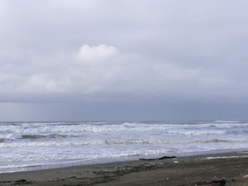 Winery «Cranberry Road Winery», reviews and photos, 2858 S Forrest St, Westport, WA 98595, USA