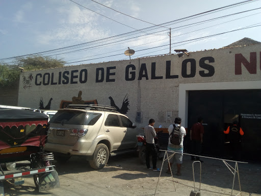 Coliseo de Gallos Nueva Punta Roja.