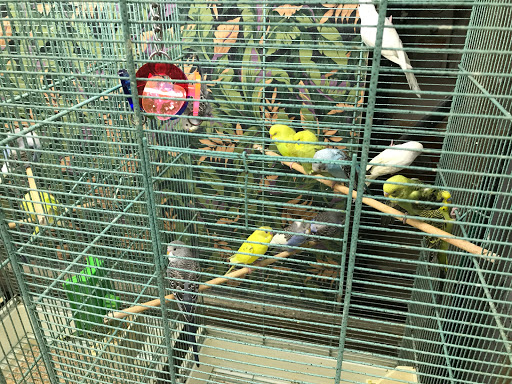 Pet Store «Salisbury Super Pet», reviews and photos, 329 Civic Ave, Salisbury, MD 21804, USA