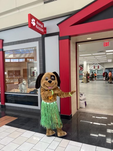 Animal Kingdom, 4500 N Oracle Rd #254, Tucson, AZ 85705, USA, 