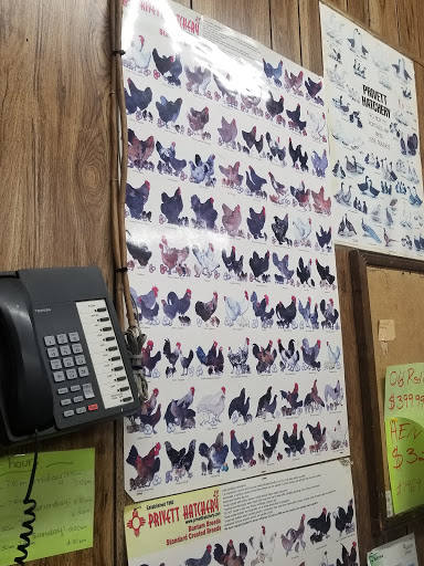 Animal Feed Store «All Pet Feed & Tack», reviews and photos, 25598 E Baseline St, San Bernardino, CA 92410, USA