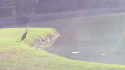 Employment Agency «Aerotek», reviews and photos, 1540 W Fountainhead Pkwy, Tempe, AZ 85282, USA