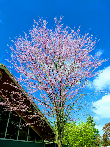 Community Center «Luepke Senior Center and Marshall Center», reviews and photos, 1009 E McLoughlin Blvd, Vancouver, WA 98663, USA