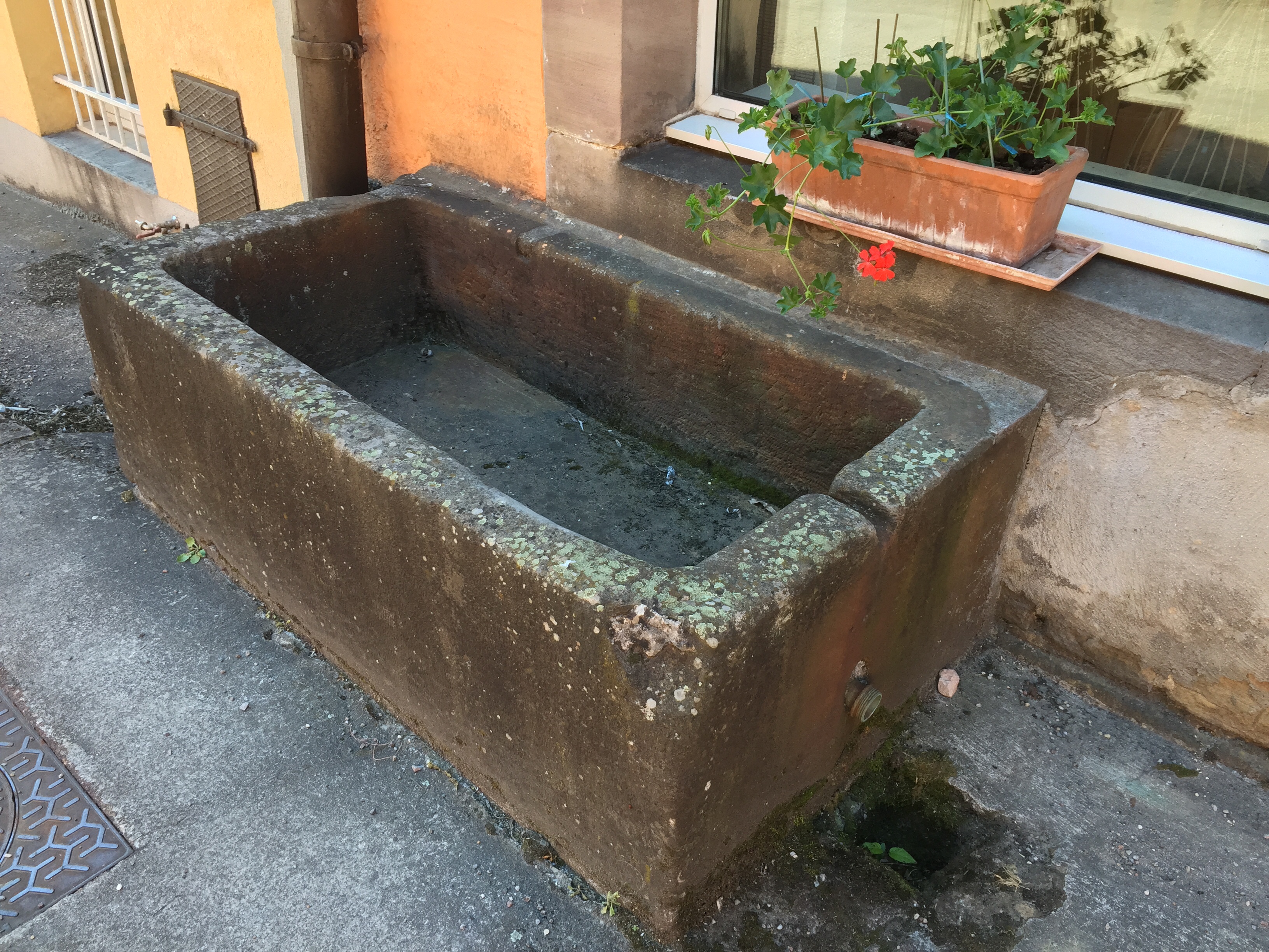 Photo n° 2 de l'avis de Flavio.O fait le 30/05/2017 à 15:37