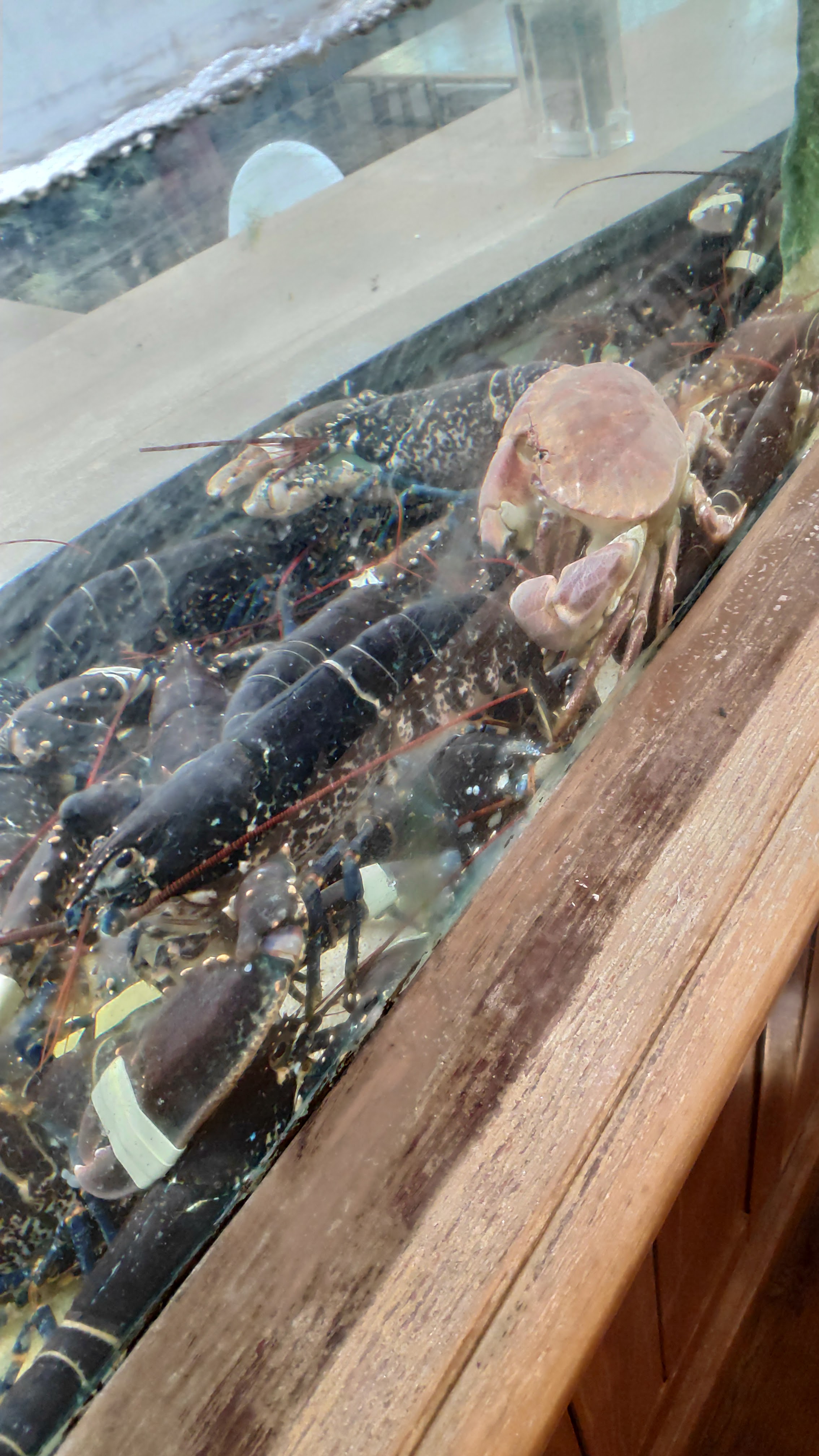 Photo n° 4 de l'avis de David.a fait le 07/04/2019 à 22:53