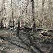 Densons Creek Nature Trail