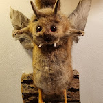 Photo n°1 de l'avis de Mainstreamlos. fait le 24/07/2023 à 05:11 sur le  Drei Mohren à Garmisch-Partenkirchen