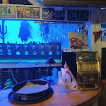 Photo n°4 de l'avis de Penelope.e fait le 04/05/2022 à 20:15 sur le  Ristorante Pizzeria Relax à Rossano Stazione