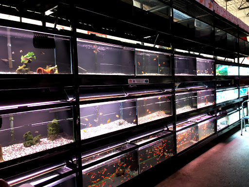 Pet Supply Store «Pet Quarters», reviews and photos, 486 Payne Rd, Scarborough, ME 04074, USA