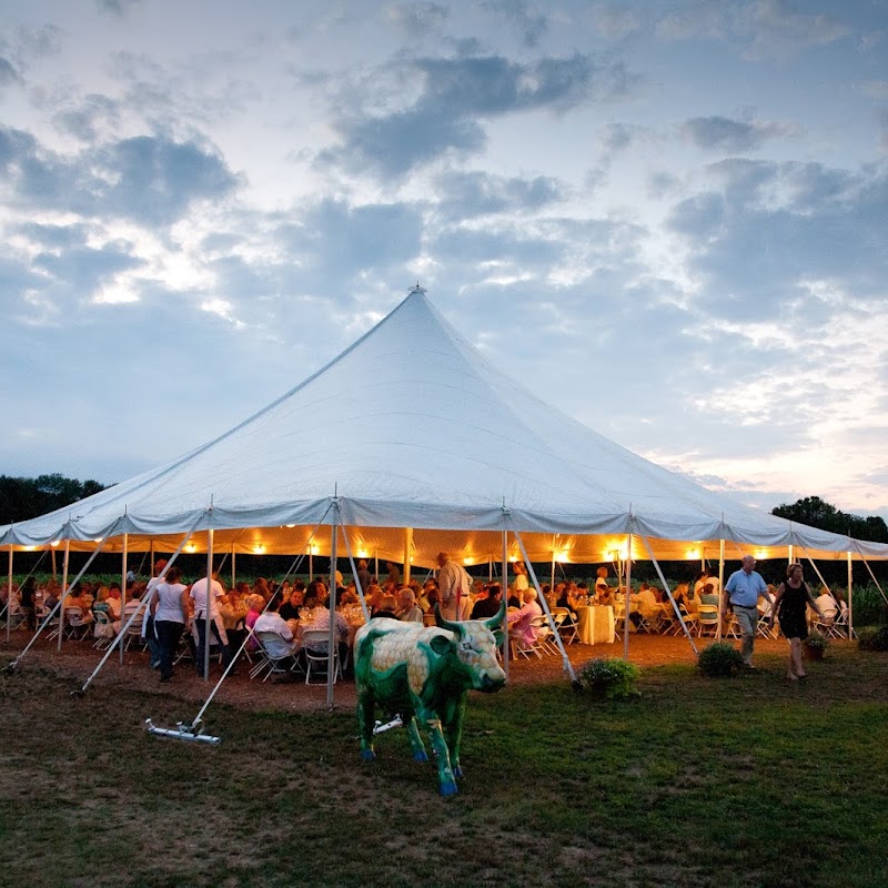 Max Catering & Events - Connecticut