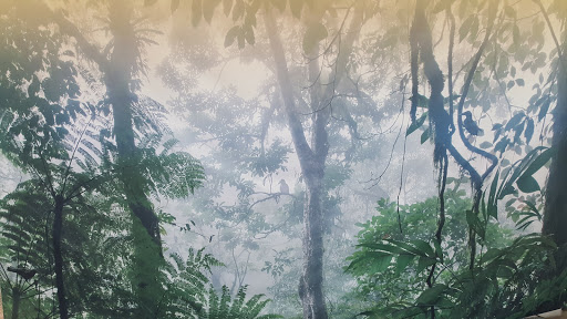 Science Museum «New York Hall Of Science», reviews and photos, 47-01 111th St, Queens, NY 11368, USA