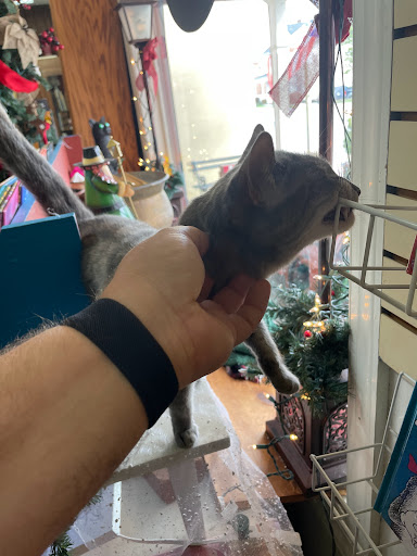 Book Store «Royal Oak Bookshop», reviews and photos, 207 S Royal Ave, Front Royal, VA 22630, USA