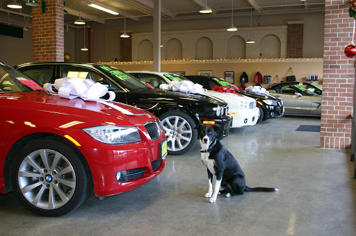 Used Car Dealer «Diablo Motors», reviews and photos, 2067 San Ramon Valley Blvd, San Ramon, CA 94583, USA