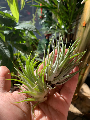 Florist «Hudson Florist», reviews and photos, 741 Bergen Ave, Jersey City, NJ 07306, USA