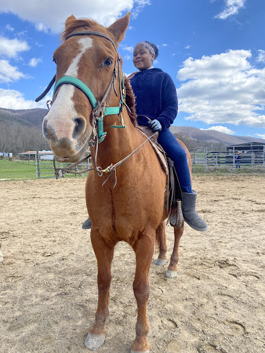 Horseback Riding Service «Secret Passage Ranch», reviews and photos, 321 Spring Mountain Way, Fort Valley, VA 22652, USA