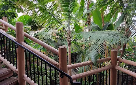 Boettcher Memorial Tropical Conservatory image