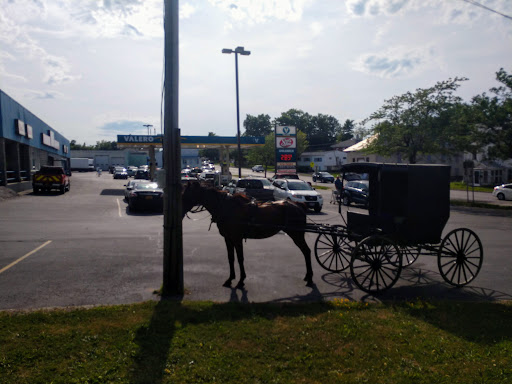 Grocery Store «Clayton Shurfine Supermarket», reviews and photos, 503 State St, Clayton, NY 13624, USA