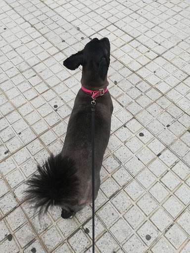 INTERZOO CIUDAD ALTA