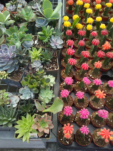 Home Improvement Store «The Home Depot», reviews and photos, 1600 Gadsden Hwy, Trussville, AL 35173, USA