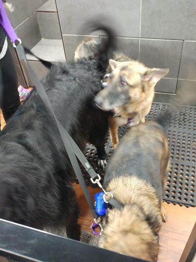 Pet Store «Pet Valu», reviews and photos, 1301 W Skippack Pike, Blue Bell, PA 19422, USA