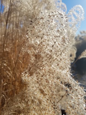 Gezer Park - photo 57