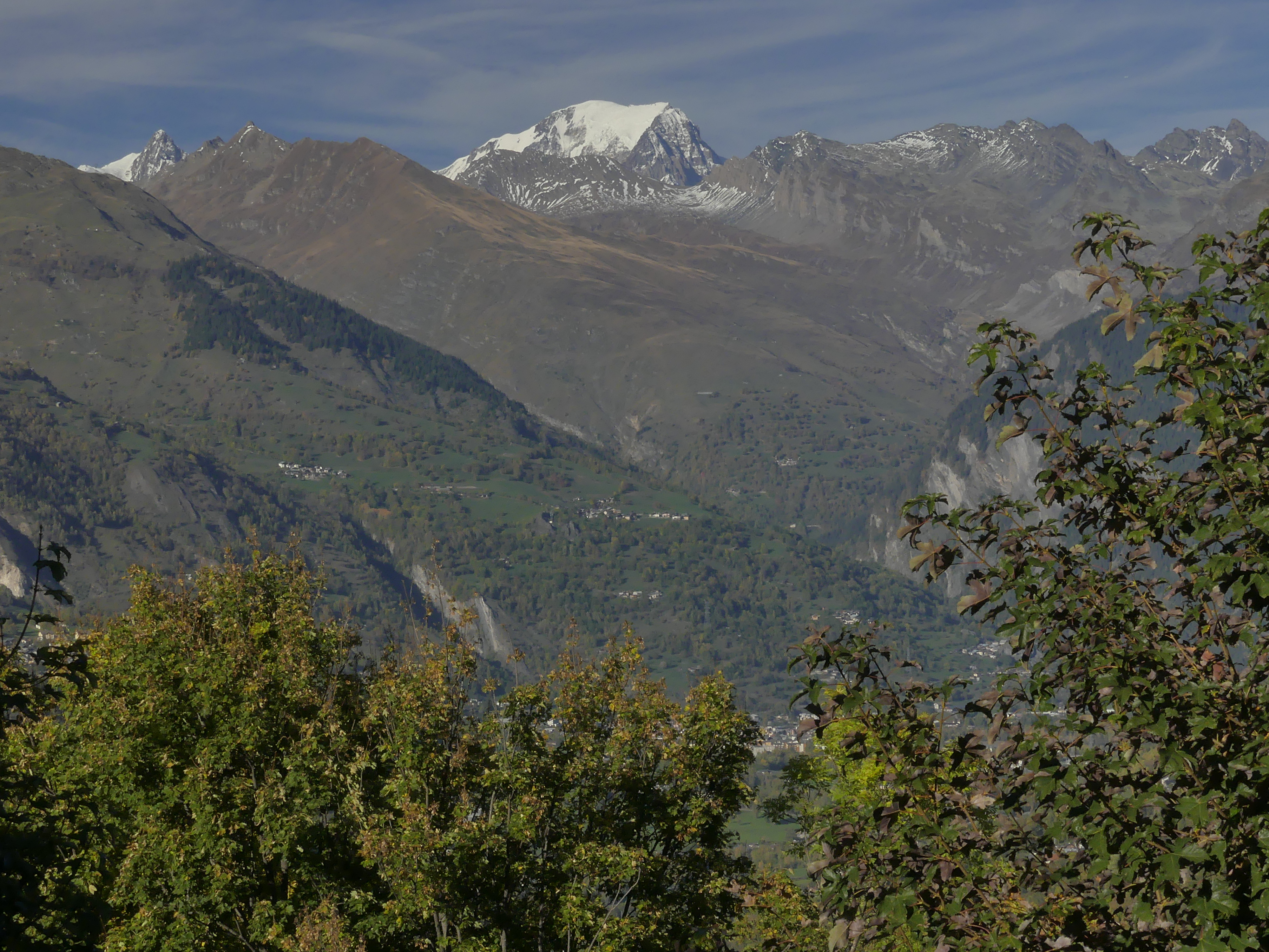 Photo n° 5 de l'avis de Reiner.e fait le 21/10/2022 à 07:18