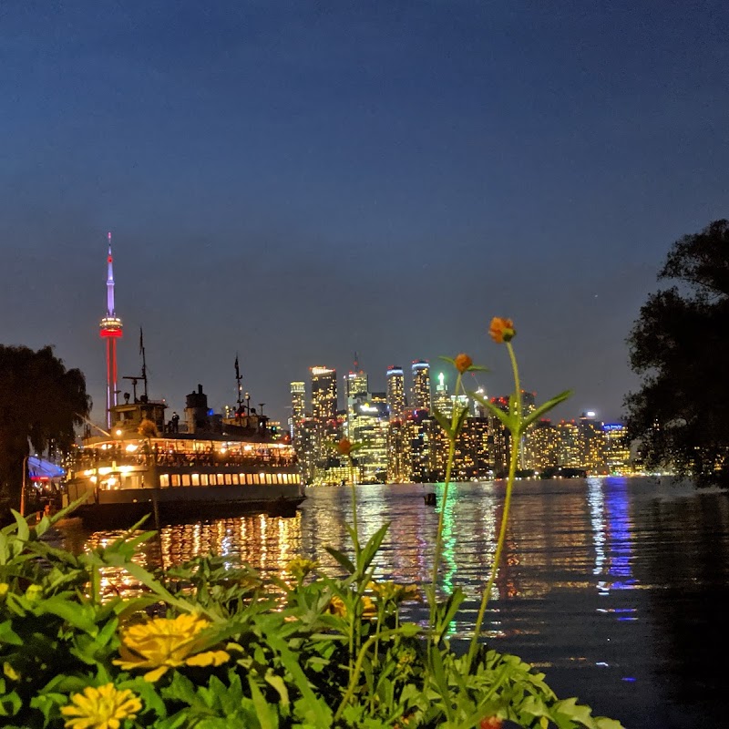 Hanlan's Point Beach