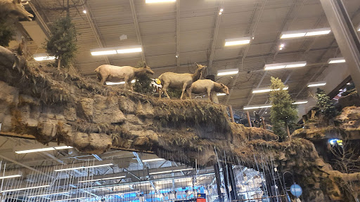 Sporting Goods Store «Bass Pro Shops», reviews and photos, 1000 Basspro Dr, Houston, TX 77047, USA