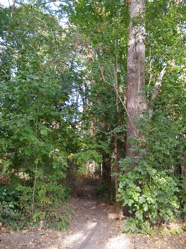 Park «Melilah Park», reviews and photos, SW 182nd Ave, Aloha, OR 97006, USA