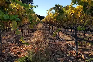 Puma Road Winery image