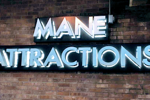 Mane Attractions image