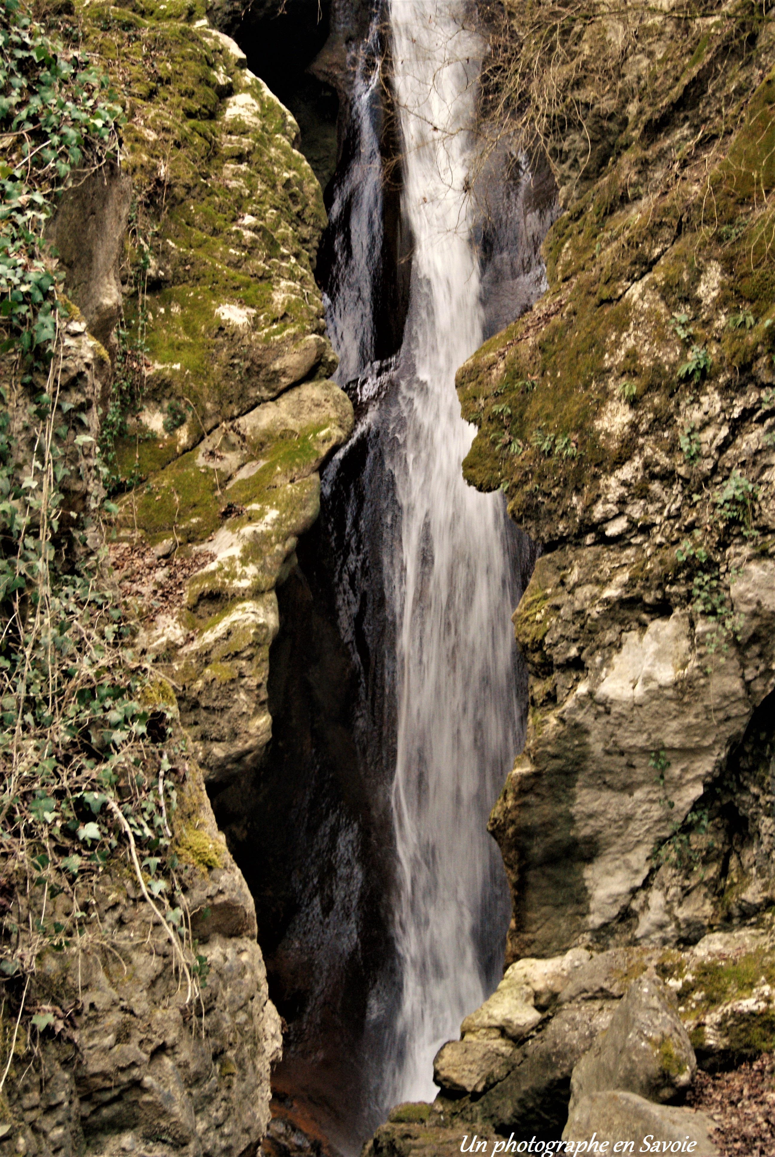 Photo n° 2 de l'avis de PikPokAIR.o fait le 07/03/2017 à 12:42