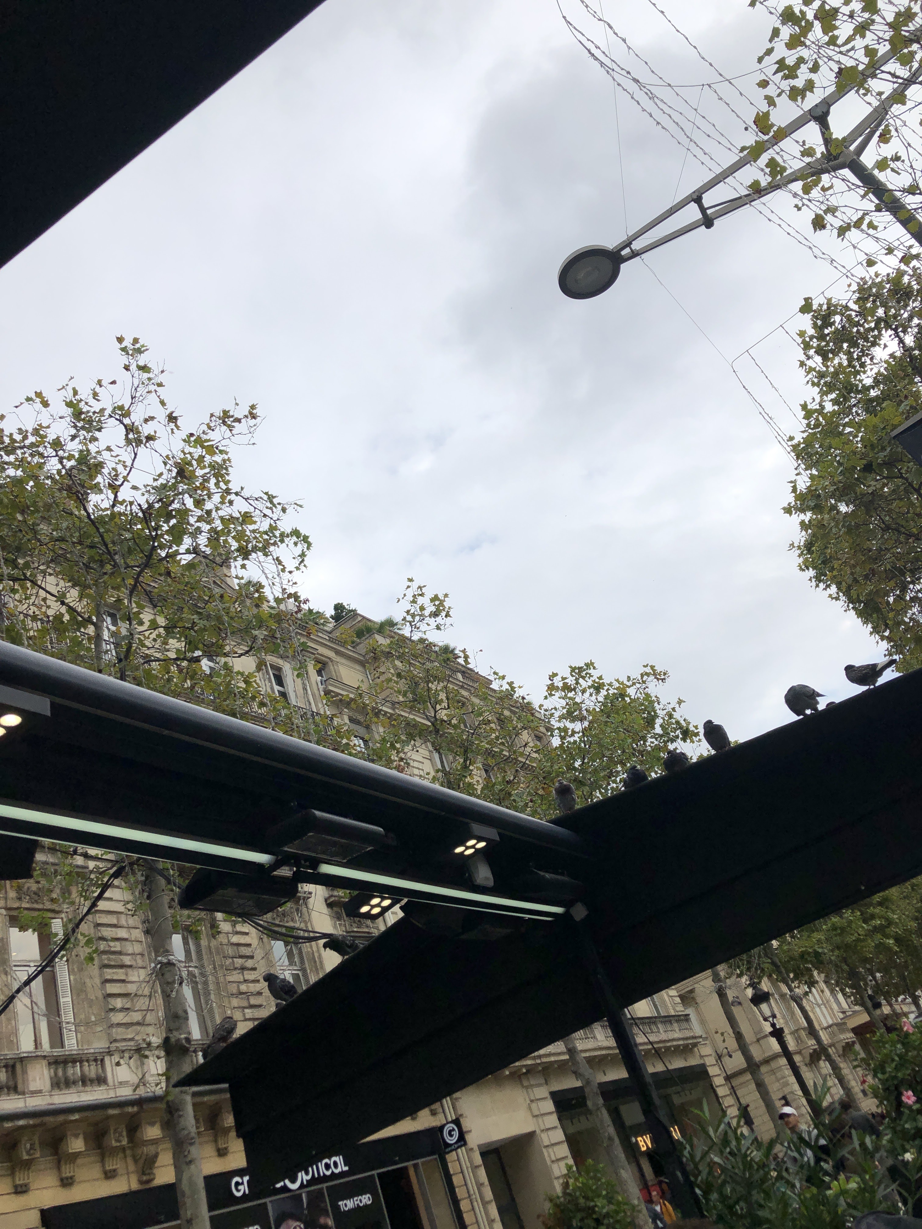 Photo n° 1 de l'avis de Carine.K fait le 12/10/2019 à 12:26