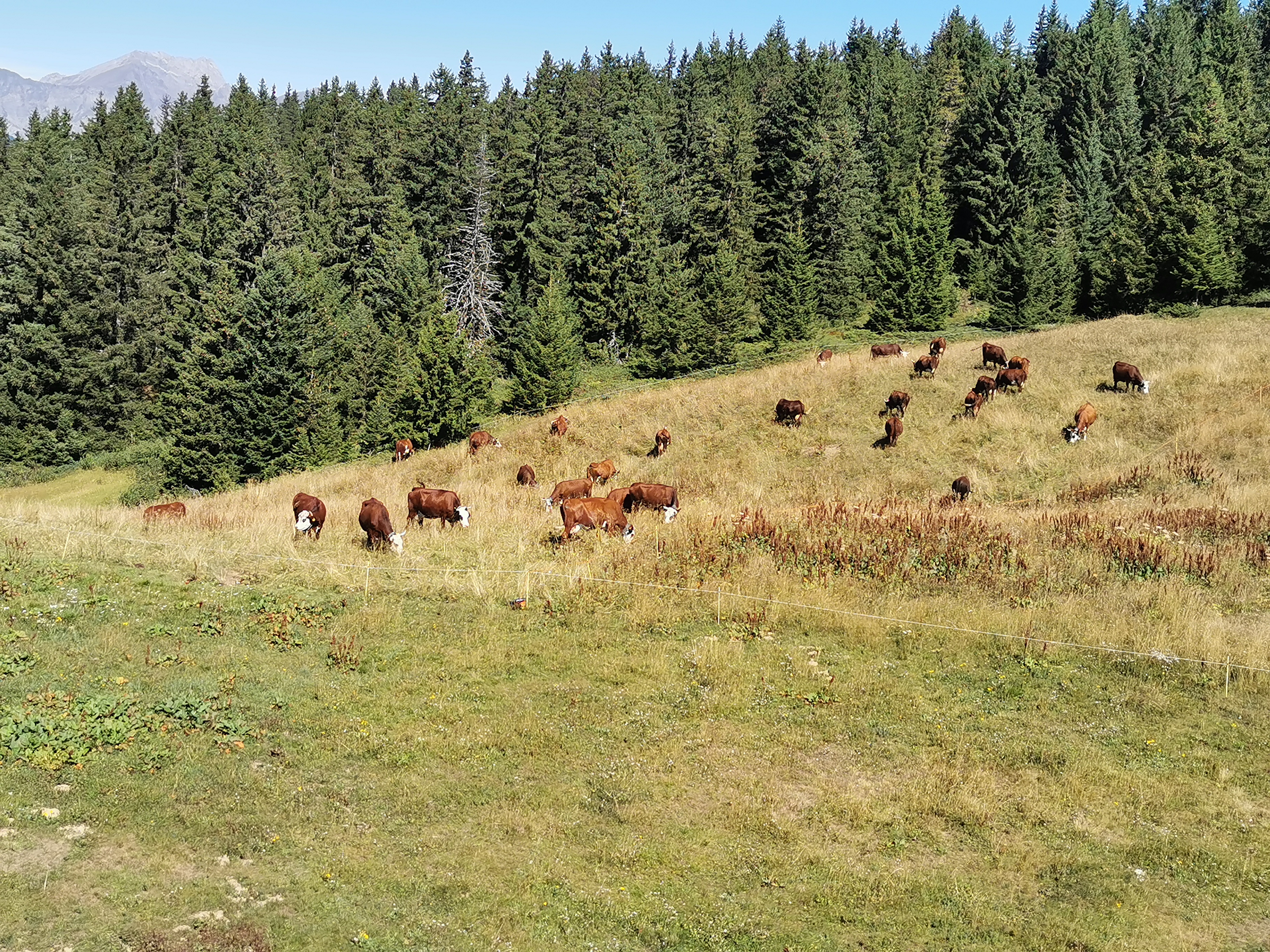 Photo n° 18 de l'avis de Kévin. fait le 10/09/2022 à 09:32