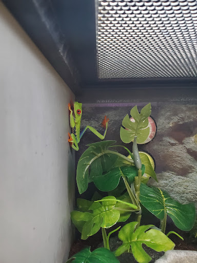 Pet Supply Store «Petco Animal Supplies», reviews and photos, 2140 E Blvd St, Kokomo, IN 46902, USA