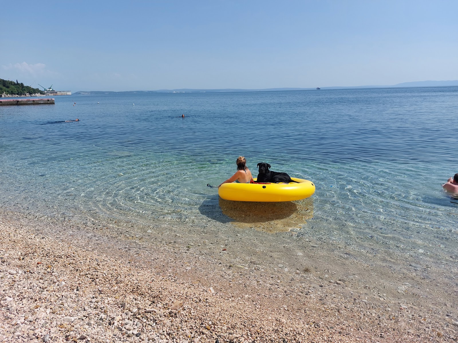 Brajdica Dog Beach'in fotoğrafı imkanlar alanı
