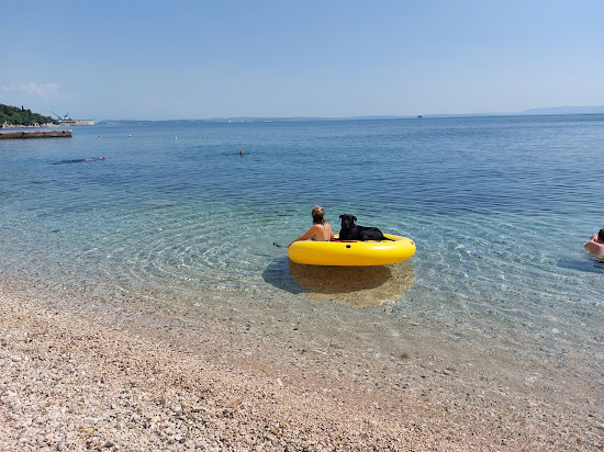 Brajdica Dog Beach
