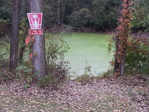 Nature Preserve «Knute Olson, Jr. Forest Preserve», reviews and photos, 12595 Base Line Rd, Kingston, IL 60145, USA