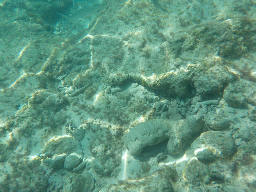 Travel Agency «Hilliard Travel & Cruise Quarters», reviews and photos, 4013 Main St, Hilliard, OH 43026, USA