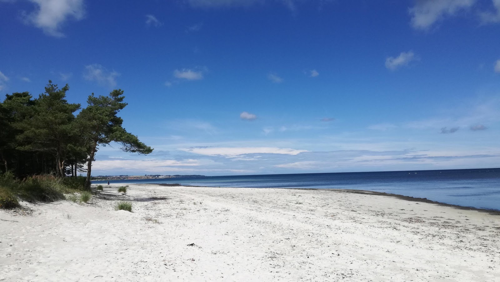 Foto van Snogebaek Strand met recht en lang