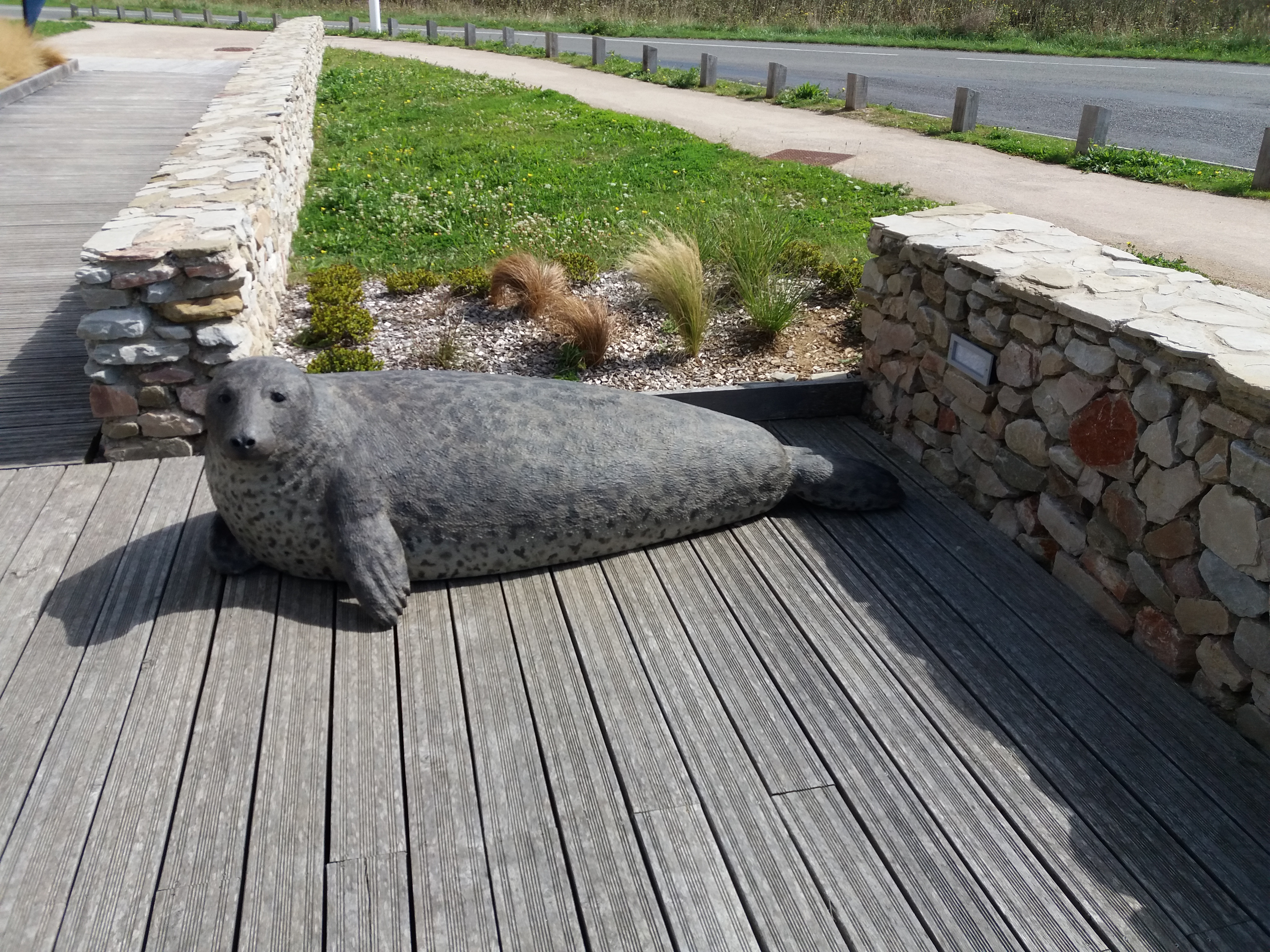 Photo n° 1 de l'avis de Herman.o fait le 13/08/2017 à 11:10