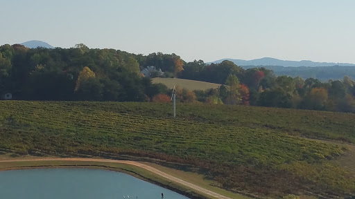 Vineyard «Frogtown Cellars», reviews and photos, 700 Ridge Point Dr, Dahlonega, GA 30533, USA
